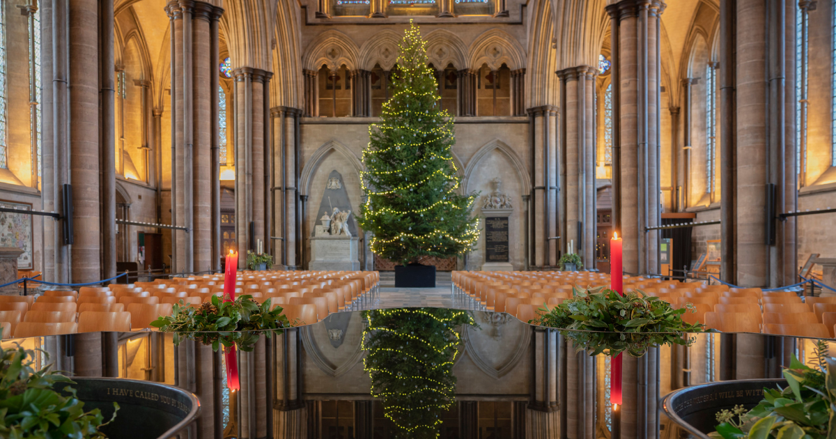 Salisbury Christmas Tree